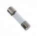 FUSIVEL VIDRO 06A 250V