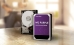 HD Interno 1TB WD Purple Western Digital 1tb Surveillance Sata 64mb Cache - Wd10purz
