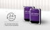 HD Interno 1TB WD Purple Western Digital 1tb Surveillance Sata 64mb Cache - Wd10purz