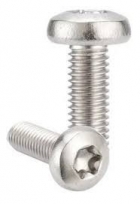 PPA PARAF TRILOBULAR TORX M6X50 C11198